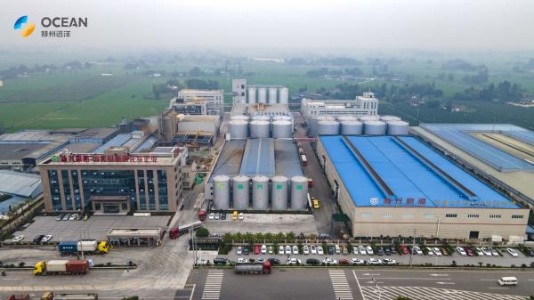 10-200 Ton Edible Oil Extraction Equipment Oil Extraction Steaming