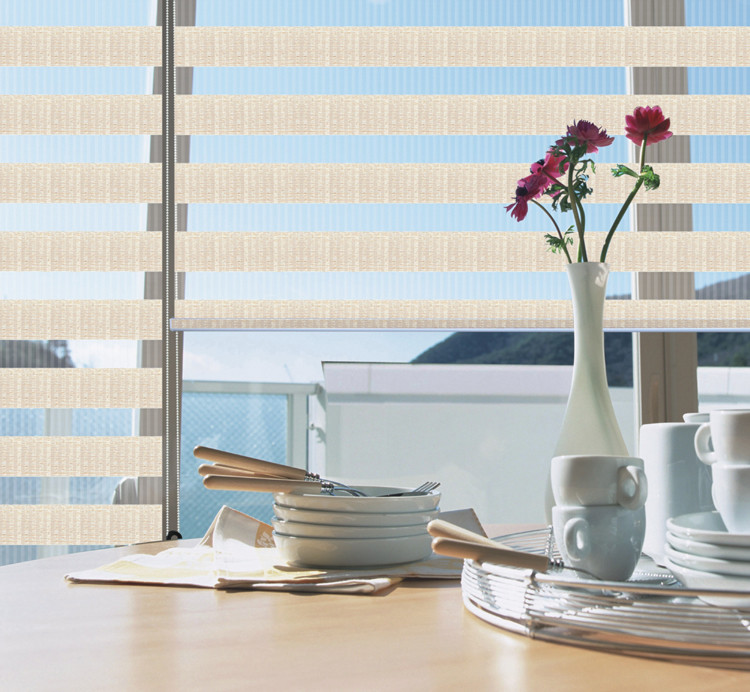 2020 Hot Sale Double Layer Window Blind Roller Zebra Blinds Manual Motorized Control