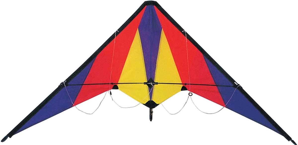 Fashion dragon styple nylon Delta stunt kite ,Jazze Delta sports kite