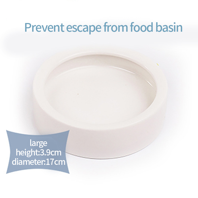 Pet Bowl Prevents Bread Worms Setting Escaping Lizard Ceramic Water Food Dish Reptile