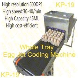 Free Upgrade Whole Tray Egg Jet Coding Machine With USB Disk Loading Easy To