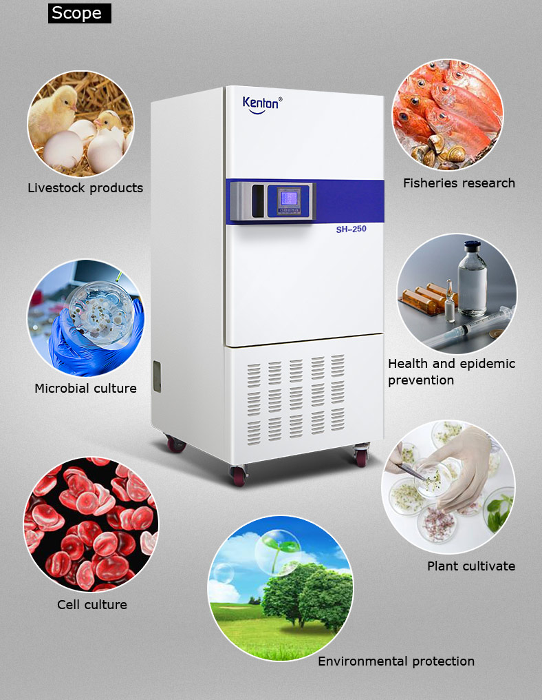 Microbiology BOD Cooling Incubator For Bacterial Culture 110V 220V