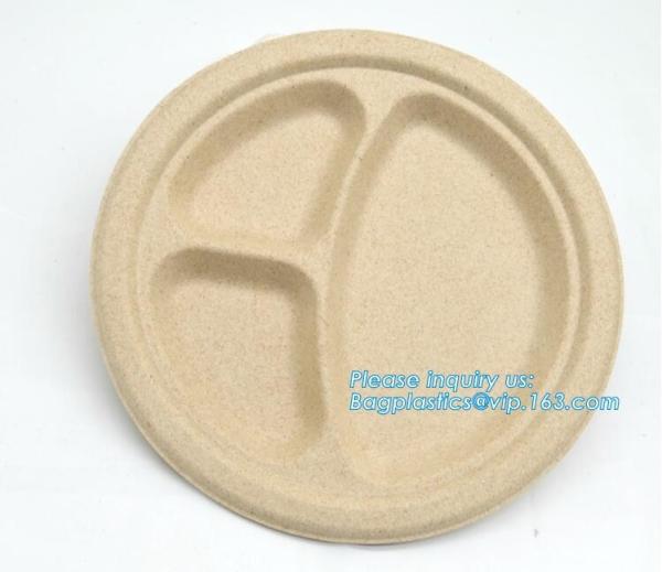 Biodegradable plate food grade green sugarcane bagasse plate,10" sugarcane