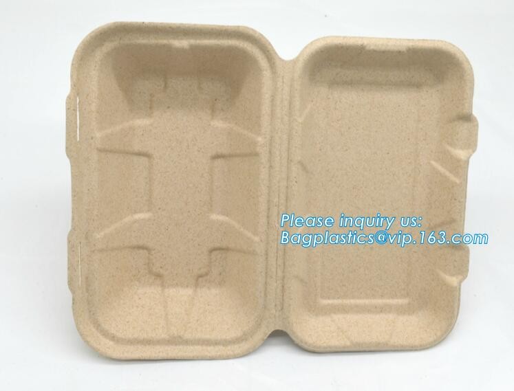 Meal Prep Containers Free Sample Bento Lunch Box Biodegradable Food Container Plastic Wheat Straw Lunch Box bagplastics