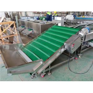 walnut sorting machine, walnut grading machine, walnut grader, walnut sorter