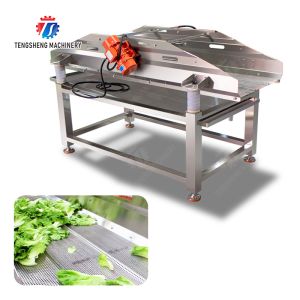 Vibration Air Dryer Vegetable Fruit Leaves Vegetables Saiko persimmon Ginger