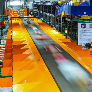 Linear Cross Belt Sorting Line Robust Versatile With Low Energy Comsumption