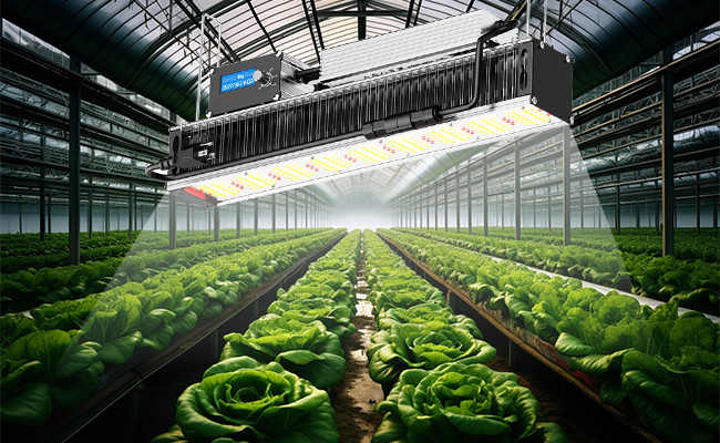 480watt Greenhouse Plant Light Dimmable Led Grow Light Spectrum Control Medical Plant Veg Led Grow Light Bar
