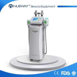  best cooling -15~5℃ good effective fat freezing weight loss 10.4 inch touch screen cryolipolysis Manufactures