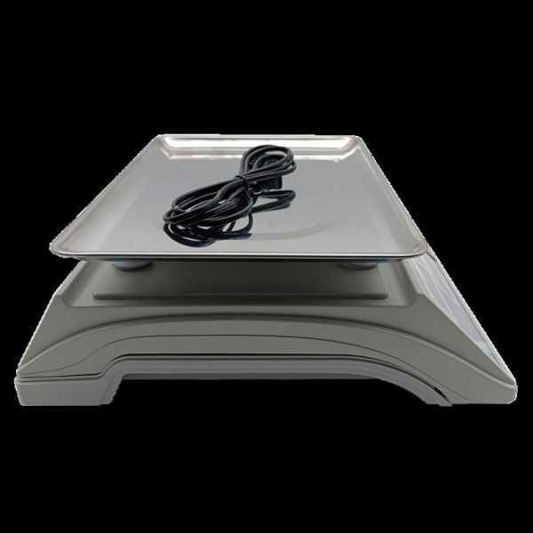 Quality White Computerized Mass Monitoring Tool Weighing Units Kg / G / Lb / Lb.oz / Pcs for Accurate Monitoring for sale