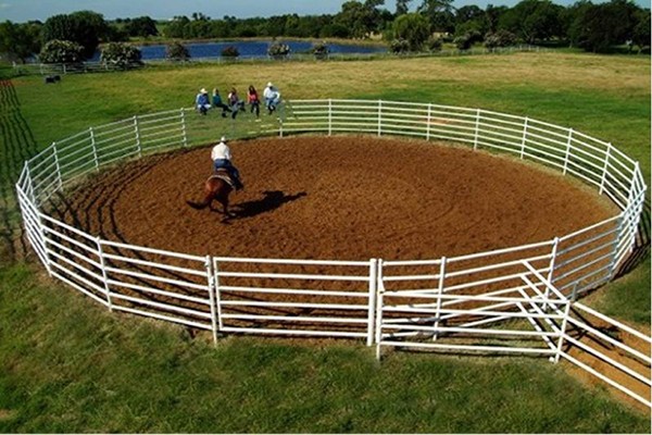 Australia standard galvanized cattle panel fence Cattle Crush,Cattle Chute