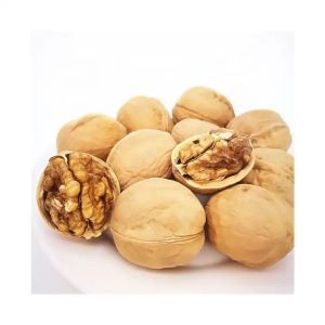 Raw Walnut Wholesale Top Class Walnut Kernels Dried Style Walnut.
