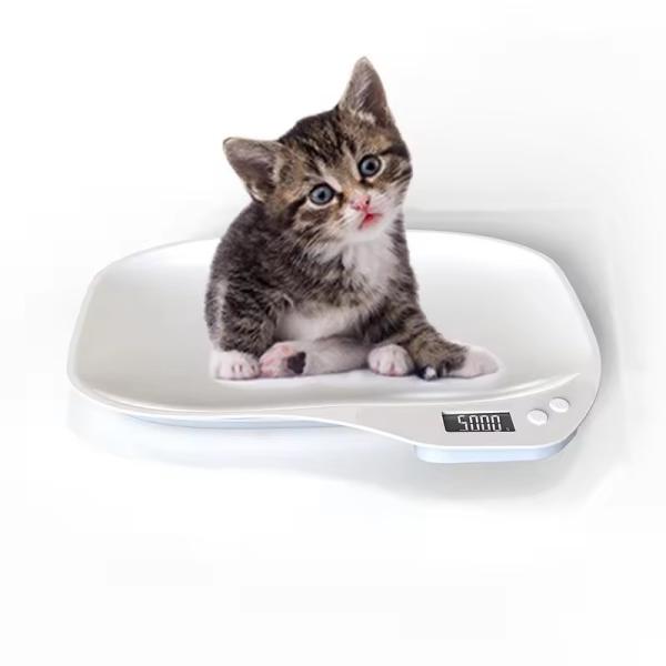 Quality Livestock Scale Electronic Portable Precision Digital Pet Weight Scale for Puppy Rabbit Kitten Weight Loss 33lb/15kg 1g for sale