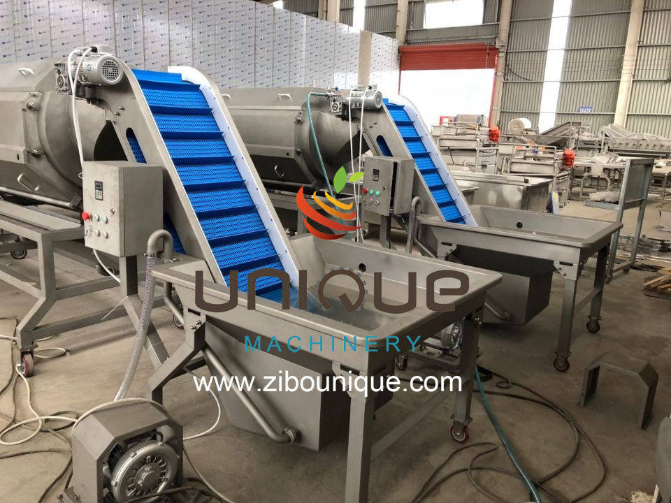 Potato Peeling and Washing Machine 2.25 kw for Food Processing Industries Efficiency