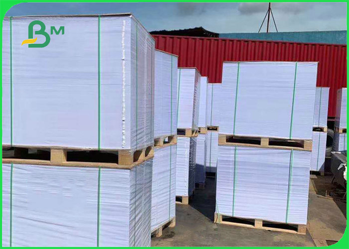 350gsm 0.61mm Food Grade Paper For Snack Tray High Bulky 25 x 30.5 inch