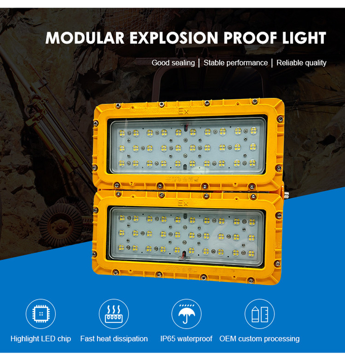 ATEX Rated Explosion Proof Emergency Light Class 1 Div 2 Lighting