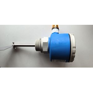 Endress+Hauser Point Level Switch Soliswitch FTE30 Rotary Paddle Switch