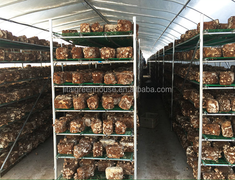 White Double Layer Greenhouse for Mushroom Farming Profitability