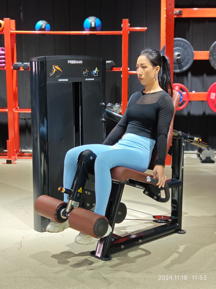 Custom Commercial Leg Exercise Equipment Pin Loaded And Plate Loaded Fitness