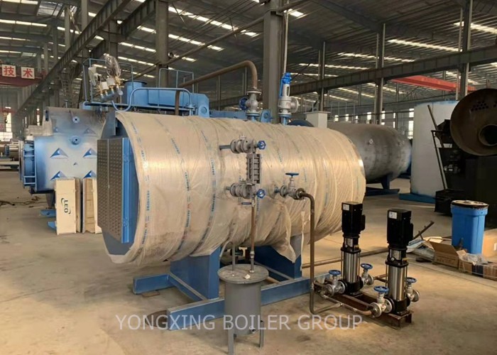 Low Consumption Fuel Gas Fired Steam Boiler Efficiency , Small Gas Boiler 1000Kg Running