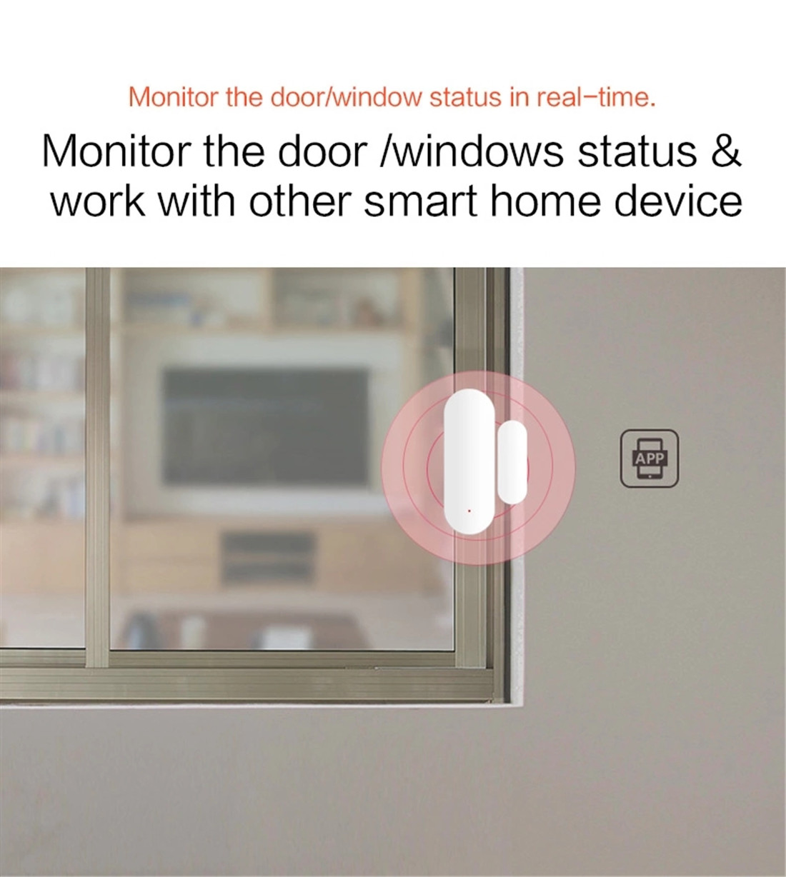 Wi-Fi Door Sensor(B2)