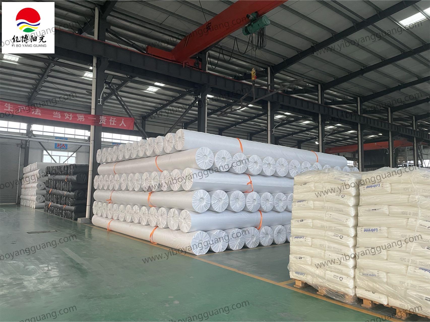 Customized 1.0mm HDPE Geomembrane Pond Liner for Shrimp Ponds and Dam Construction