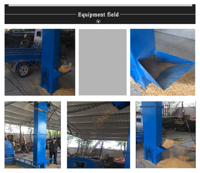 Outlets Belt Chain Type Bucket Elevator For Verticla Transport Materials