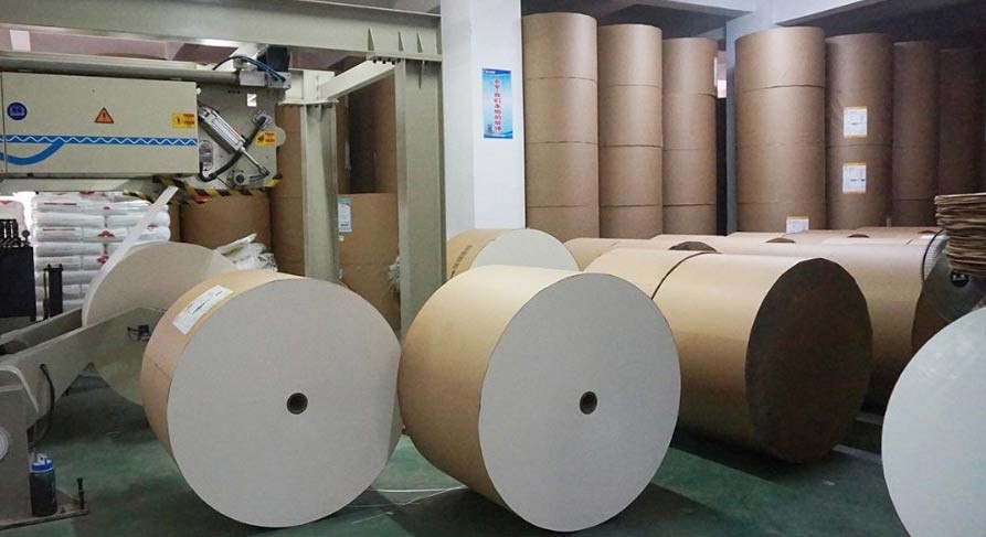 Pe Coated Paper Cup Raw Material Eco Friendly Food PE Paper Roll