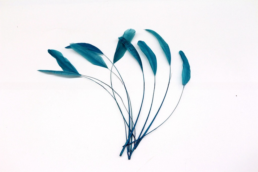 Stripped Rooster Coque Feather in Dyed Pattern for Chicken Feather Benefit