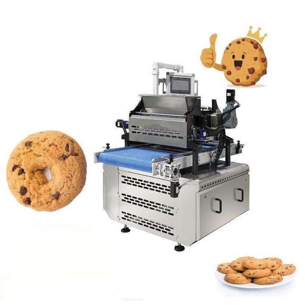 Automatic Commercial Biscuit Production Line Cookies Making Machine For Snack
