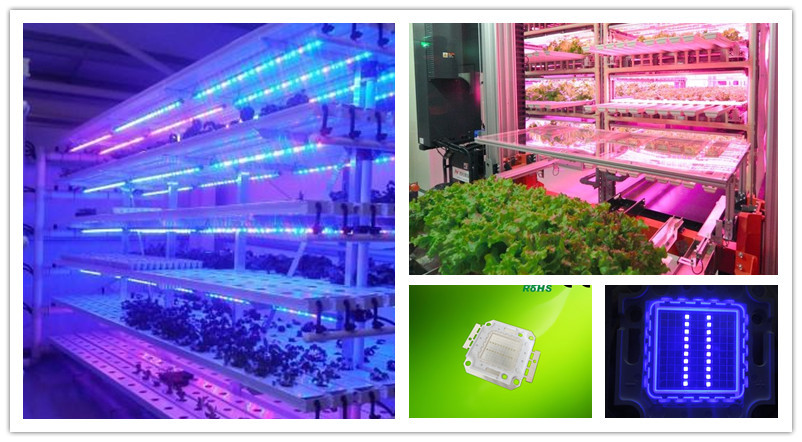 20w blue led application.jpg