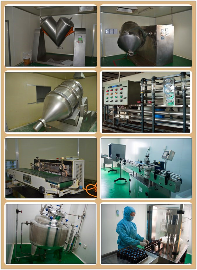 coxicin liquid of best treament and prevention coccidiosis cholera in broilders, pullets, layers and breeders