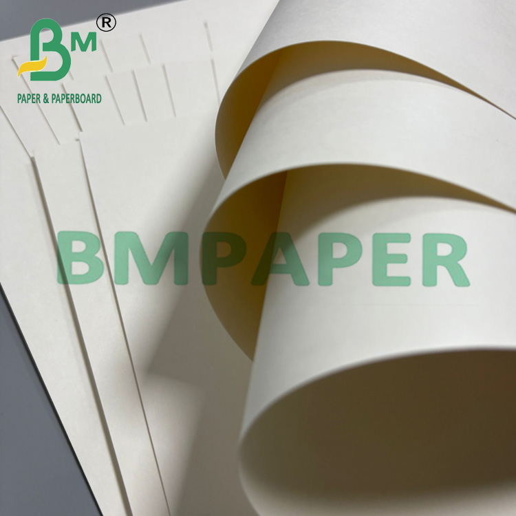 250g + 20g Cup Base Paper Single Side PE Coated Board 70 * 100cm
