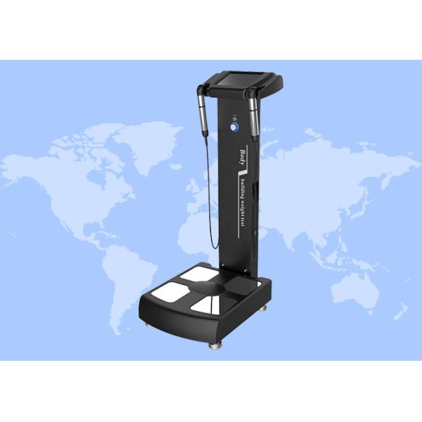 Quality Smart Fat Loss Analyzer BMI Analyzer Body Composition Analyzer Machine for sale