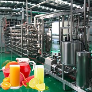 Industrial Citrus Juice and Jam Processing Line Intelligent Cleaning Juice