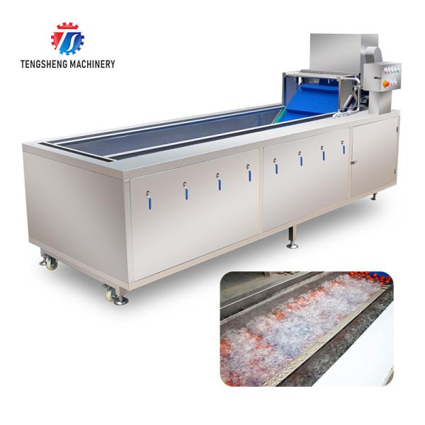 240KG Washing machine Fruit and vegetable washing machine vegetable cleaning