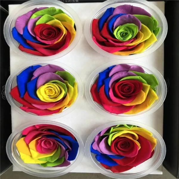rainbow rose Eternal real preserved rainbow roses 5-6cm Fresh Stabilized rainbow