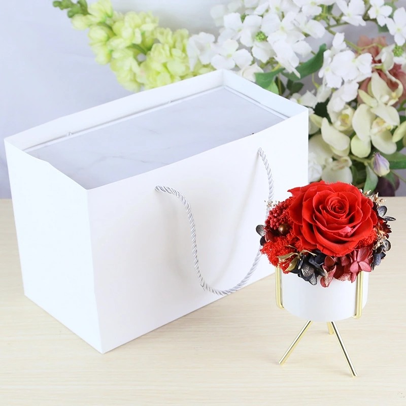 New Arrival preserved flowers ornament luxury immortal rose gift for teacher/friend