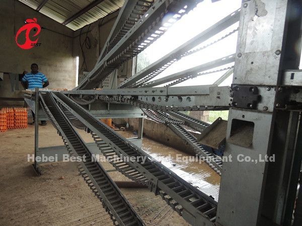 Electric Control Poultry Layer Cage System Layer Chicken Steel Cage Emily