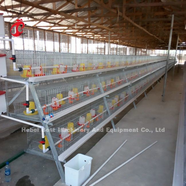 CE A Type 120 Birds Chick Rearing Cage With Drinkers And Feeders Star
