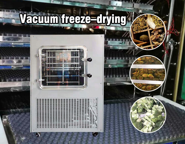OEM Freeze Dryer Vacuum Pump Freeze Drying Equipment Top Press
