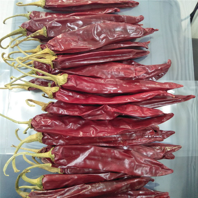 Seasoning Dried Guajillo Chili 180 ASTA Red Hot Chili Peppers