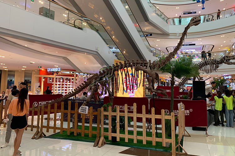 Weather Resistant Simulation Dinosaur Fossil Model For Museum Exhibition