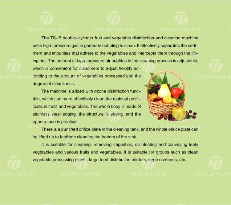 1.1KW Commercial eddy current bubble washing machine ozone multifunctional vegetable washing machine