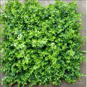 Artificial Wall Grass Enhancing Aesthetic Appeal For Offices Homes Places Like Cafe And Resturants