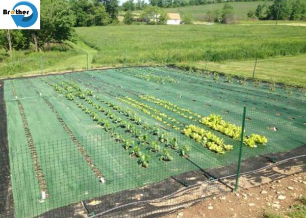 UV Treated Agriculture Weed Control Mat Black Plastic Mulch Ground Cover Weed