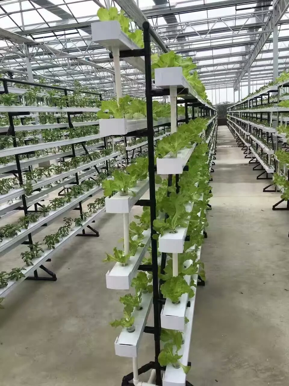 Chinese factory industrial hydroponics growing systems NFT for sale
