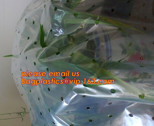 Multi-Span Plastic Film Cover Natural Ventilation Vegetable Greenhouse,Greenhouse Kits Plastic Greenhouse 200 micron gre