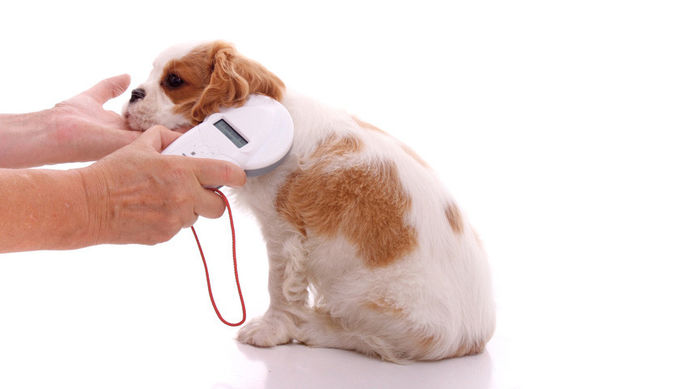 125khz 0.4W ABS Bluetooth Animal Microchip Reader
