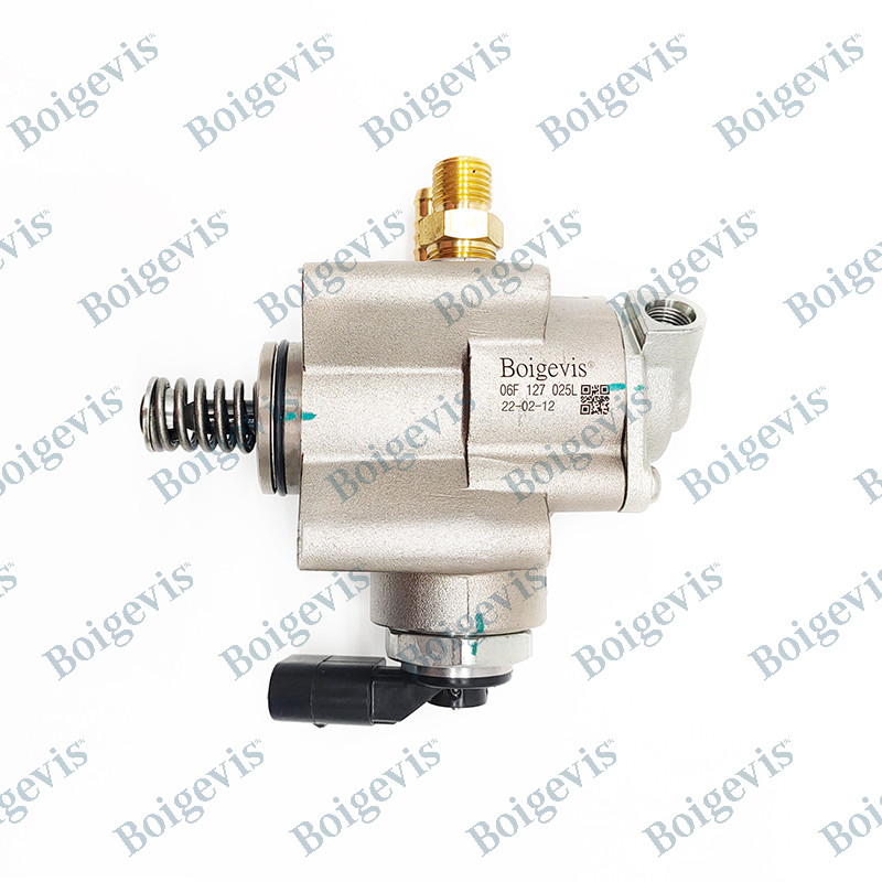 BOIGVIS Applicable To C62.0T Automobile Fuel Pump OE Code 06F 127 025 M/ 06F 127 025 L
